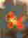 item-59633400=3