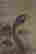 item-100334577=4