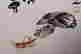 item-103236143=4