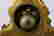 item-107258966=6