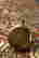 item-107258976=4