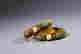 item-107258984=2