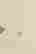 item-107259508=5