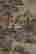 item-115108823=5