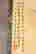 item-117160811=4