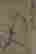 item-117160975=3