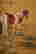 item-119293100=4