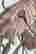 item-119293115=9
