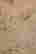 item-119293345=5
