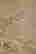 item-119293345=6