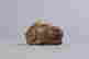 item-120627036=2