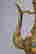 item-120627120=3