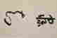 item-120637289=6