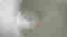 item-121922659=9