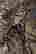 item-122679306=3