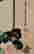 item-126402911=4