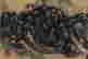 item-127268397=8
