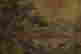item-127268678=11