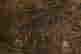 item-127268678=12