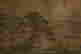 item-127268678=5