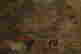 item-127268678=6
