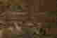 item-127268678=8