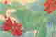 item-129830236=6