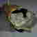item-131323952=8
