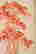 item-131323980=2