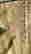 item-131323981=3
