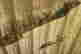 item-131323981=4