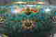 item-131324000=6