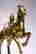 item-131324007=8
