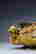 item-131324022=2