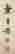item-131324025=4