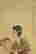 item-131324028=4