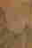 item-131324031=3