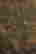 item-131324031=7
