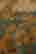 item-131324033=5