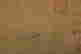 item-131324035=5
