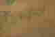 item-131324035=7