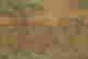 item-131324035=8