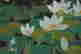 item-131324085=10