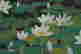item-131324085=6