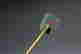 item-131324091=8