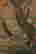 item-131324162=5