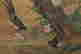 item-131324162=6