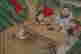 item-131324163=6