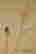 item-131324167=4