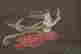 item-131324169=3